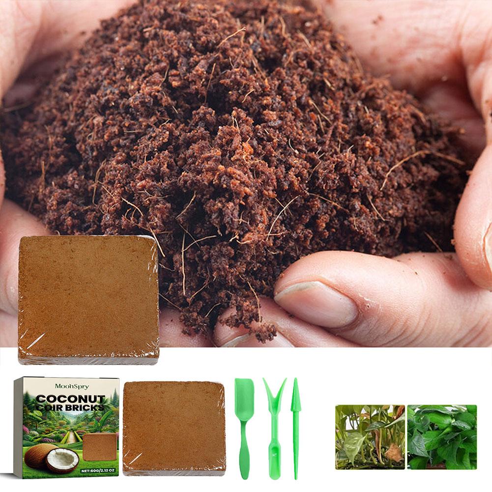 Sphagnum Moss Dry - Hindistan Cevizi Lifi Tuğlası - Organik