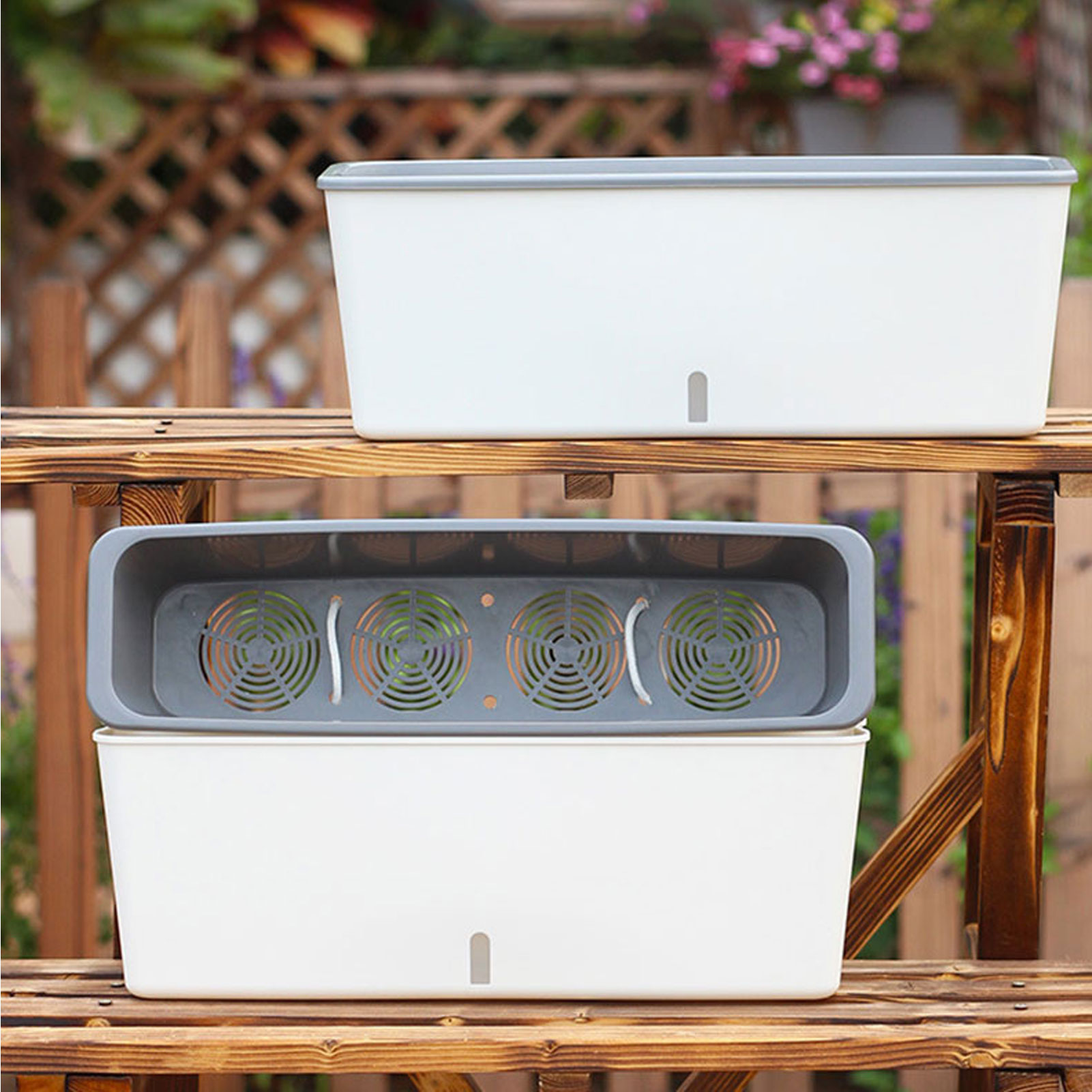 Arkadaşlar Aileler Komşular iç - Self Watering Insert incelemesi ve fiyatı