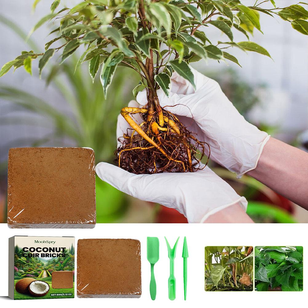 Hindistan Cevizi Lifi Tuğlası  - Sphagnum Moss Dry incelemesi ve fiyatı