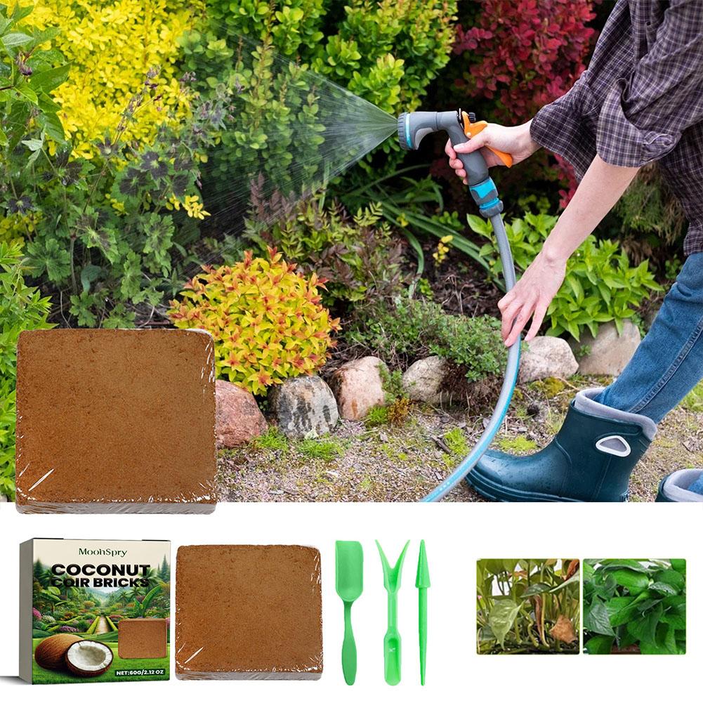 Hindistan Cevizi Lifi Tuğlası  - Sphagnum Moss Dry incelemesi ve fiyatı
