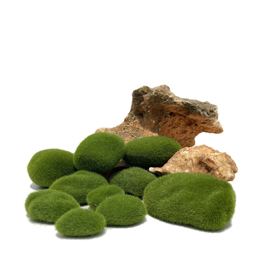 Yapay Sahte Yosun Kaya Ebedi Y - Sphagnum Moss Dry incelemesi ve fiyatı