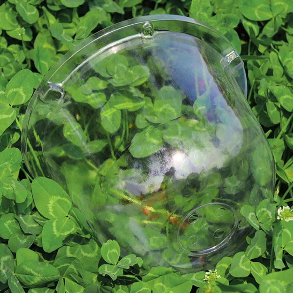 Yeniden Kullanılabilir Şeffaf  - Plastic Dome Clear incelemesi ve fiyatı